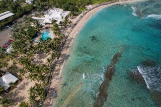 Palms Resort and Beach - 7