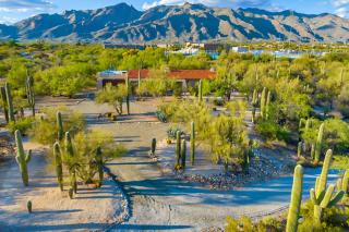 Desert Serenity at Walker Ranch - 7