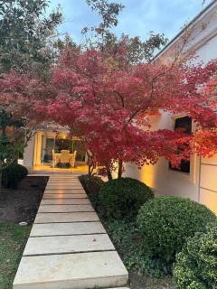 Mansión Cómo en las Vegas Pueyrredón 1055 Luján de Cuyo Mendoza - 5