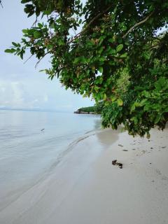 Kafdarun Homestay -  - 2