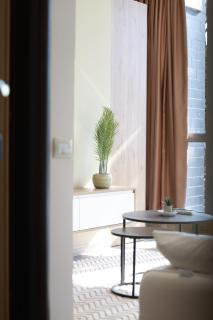 Palm Haven Premium Stay - 1