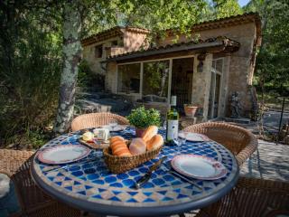 Orchidée - Barjols - 5