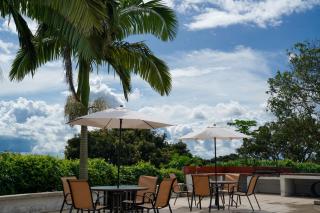 Finca La Coqueta Coffee Farm Stay near Filandia - 6