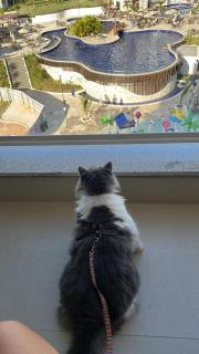 Apartamento Lagoa Eco Towers com piscinas - 8