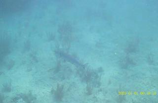 Casa Linda Victoriaville - 9