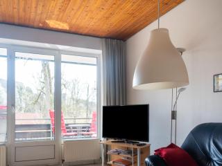 Ferienwohnung in Sankt Andreasberg im Harz - 1