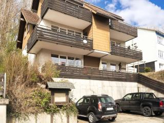 Ferienwohnung in Sankt Andreasberg im Harz - 9