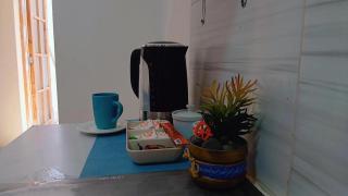 Casa Playa Pulpos 1st Floor, Garden and Grill - 7