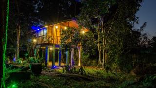 Wild Rock Villa & Tree house - 8