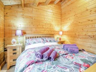 The Cabin Cefn Mawr - 1