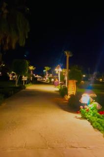 العين السخنه - 1