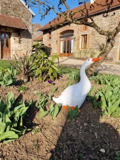 La Longère des Oies -  - 8