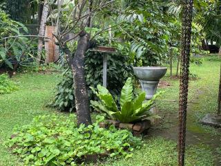 220A Green garden - 3