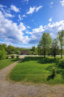 Nordic Calm Forest Apartment - 0