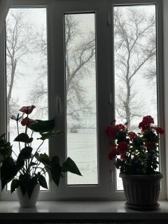 Burana guest house - 3