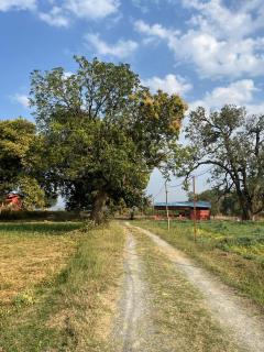 Badrika Kunj Bagh - 8