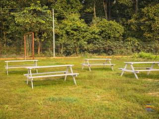 PILIBHIT FOREST AND FEAST-Near Pilibhit Tiger Reserve - 3