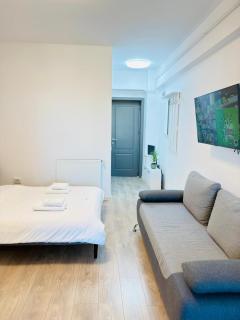 Cozy Deluxe Apartments in Centre of Historical Iasi - Iaşi - 1