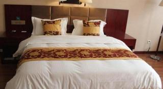 GreenTree Alliance Xingtai Ningjin County Phoenix Road Hotel - 9