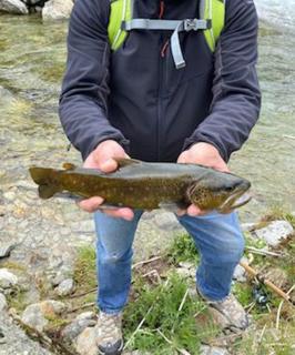 Chalet au Mercantour - 4