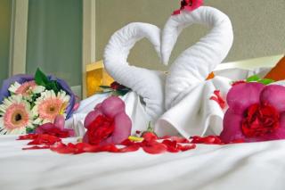 Mulberry Beach Hotel - 1