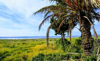 Casa Venus: Salinas de Torrevieja - 5