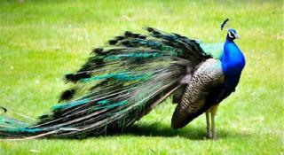 Dongguan MCB Lake Hotel - 5