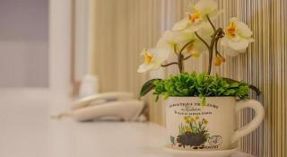 Orchid Residence - 7