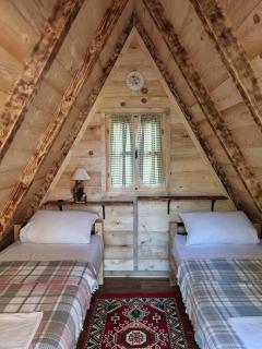 Camp Wolf & Sheep- Nature & Adventure - 8