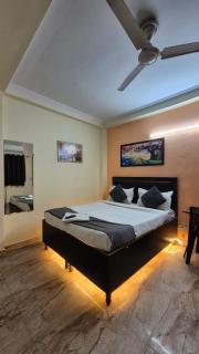 Hotel Satya Niketan Near South Embassy - 5