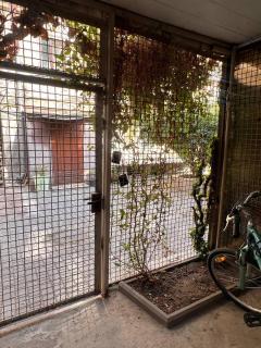 М.Арнаутская 33 - 5