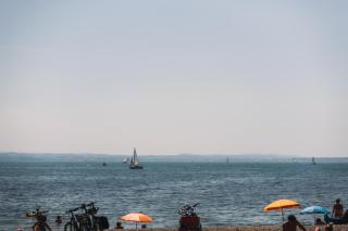 SeeHotel Amtshof - 5