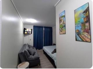 Descansa en Viña, estudio con piscina y terraza - 6