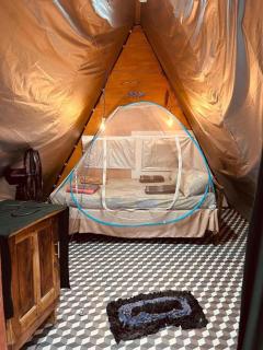 Delft mikki home stay - 8