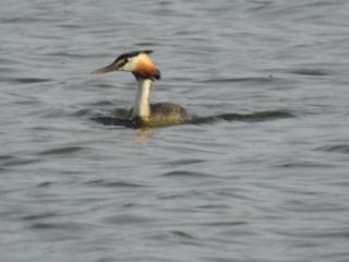 Casa Rural Monfragüe - 8