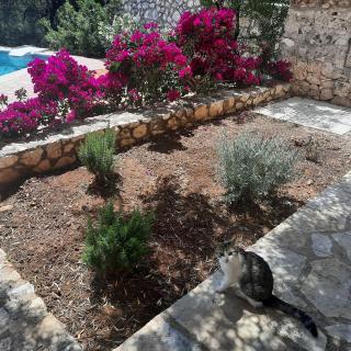 Mathilda's House - 2