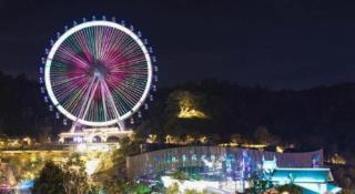 Yanlord Dream Park Hotel Apartment - 1