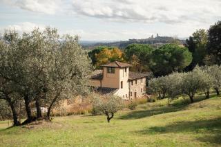 Agriturismo Il Castagnolino - 7