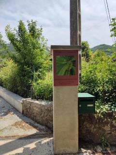 Gite lilas du Mas de la Châtaigneraie dans le Gard près de Vallon Pont d Arc - 9