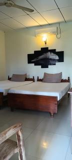 Hansika Guest Inn - 8