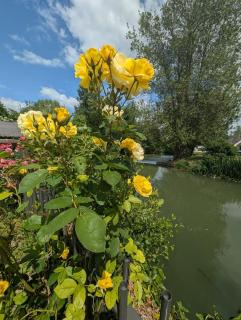 La maison au bord de la riviére - 9