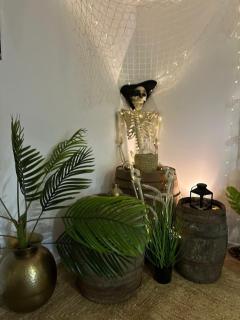 Logement Pirate themed suite with parking - 1