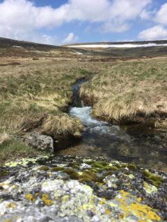 La Parenthèse Cévenole - 1