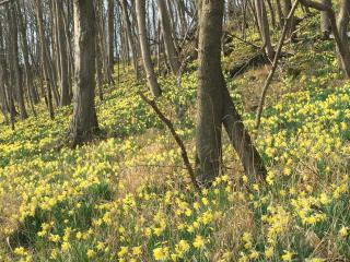 fermette - Lontzen - 7