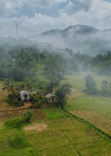 Forest & Fields Sinharaja - A Tale of 2 Villas - 8