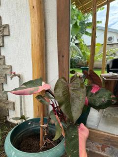 City Retreat Studio X - 9