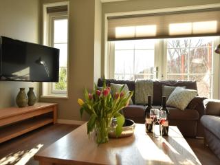 Luxurious Villa in Schoorl with Garden - 8