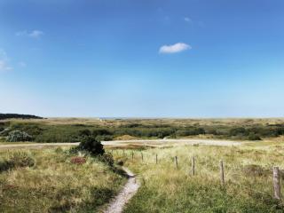 Luxurious Villa in Schoorl with Garden - 2