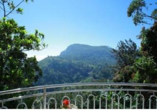 The Blue Crest -Ella - 7