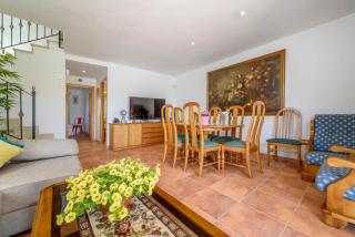 Estrella de mar verde - 4